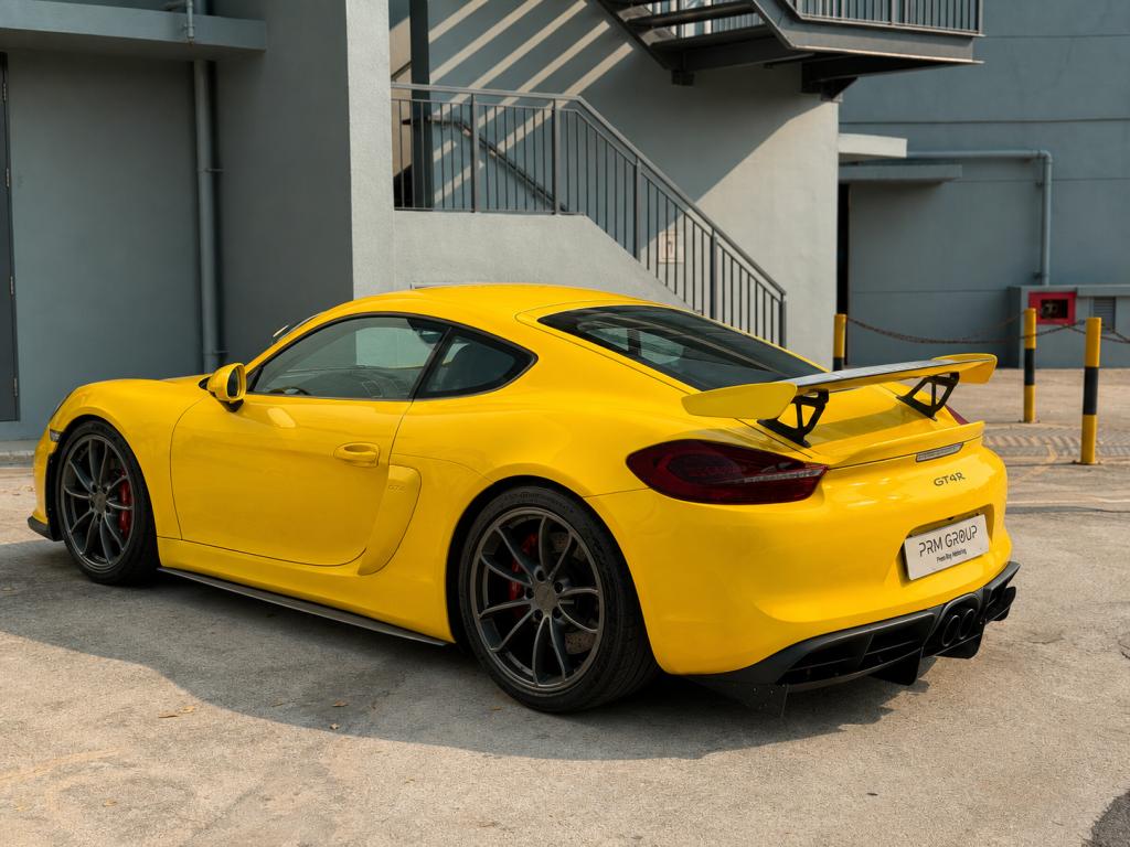 Porsche Cayman GT4 3.8M, picture 3
